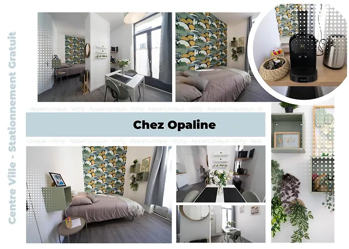 Appartunique - Bardiaux - Moderne - Centre-ville Виши